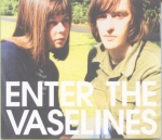 Enter the Vaselines cover
